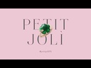 youtube - [Video]