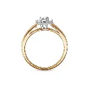 235 zij geelgoud.webp