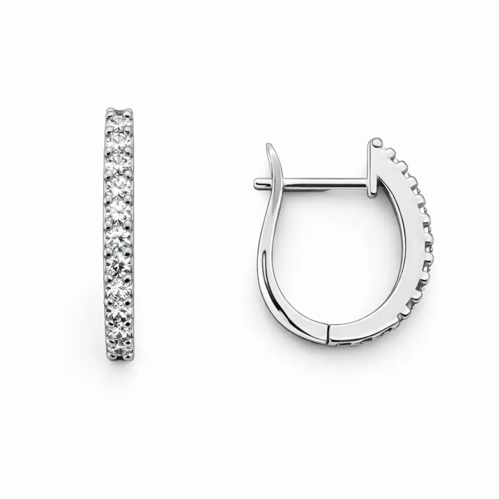 Elegance Oorbellen E01474W