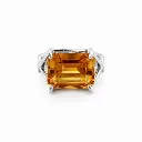 L'atelier Ring 00605616