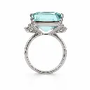 C&C Ring af0160