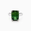 L'atelier Ring CR19350
