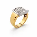 Elegance Ring X9