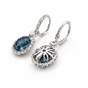 Elegance Oorbellen E08L403T
