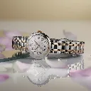 T1260102201301-6.webp