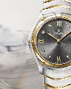 Ebel 1216419A