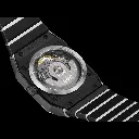 anatom_r10207102_c.webp