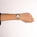 B45523985Worn11 (2).webp