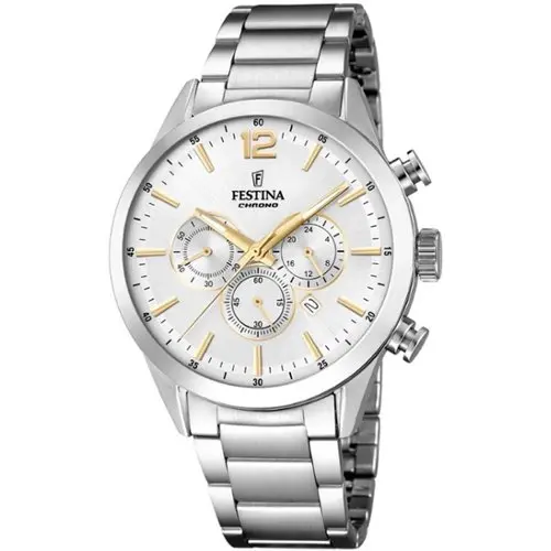 Festina Herenhorloge Zilver – Staal - F20343/1