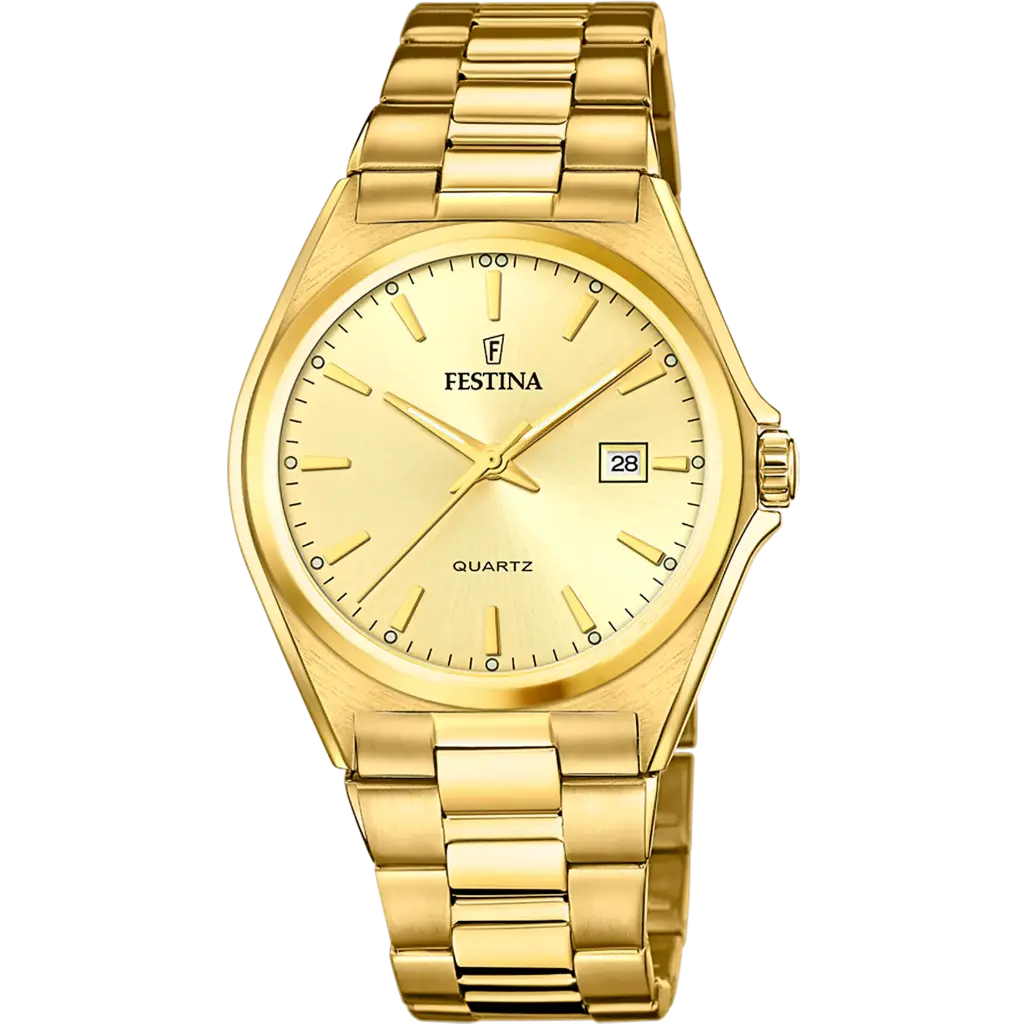Festina Herenhorloge Champagne – Staal - F20555/3