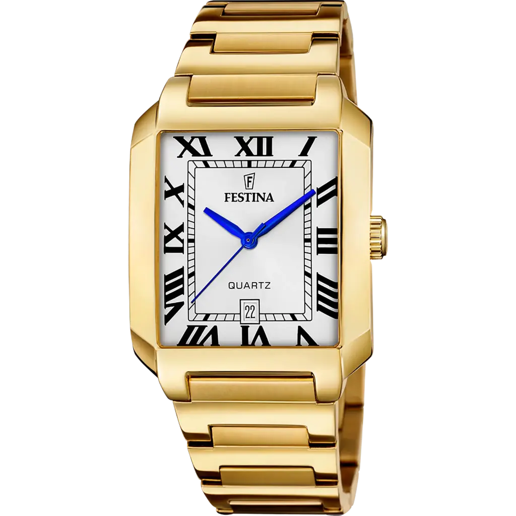 Festina F20678/1