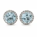 Elegance Oorbellen E08563T
