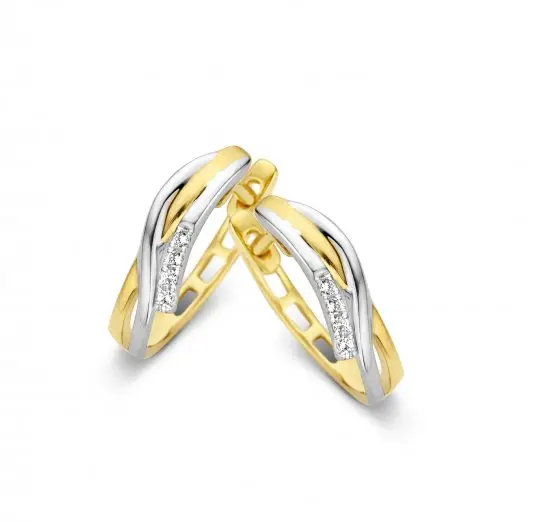 [egda5446x2] oorringen