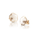 Pasquale Bruni Petit Joli 16131R