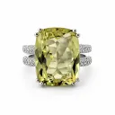 L'atelier Ring 20253C