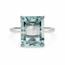 L'atelier Ring 00769379