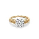 Flanders Ring 235 0,46 GH SI3 Bicolor