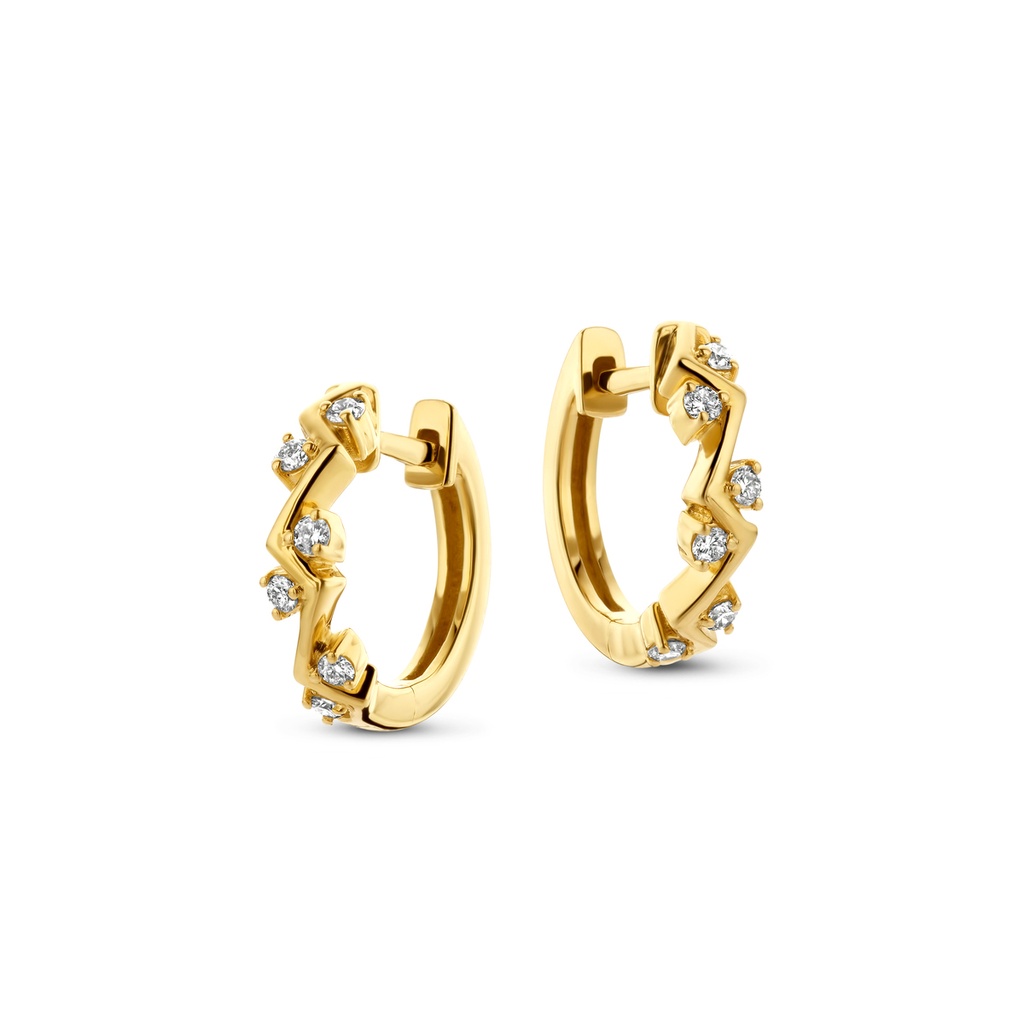 Beheyt Oorbellen 065703A