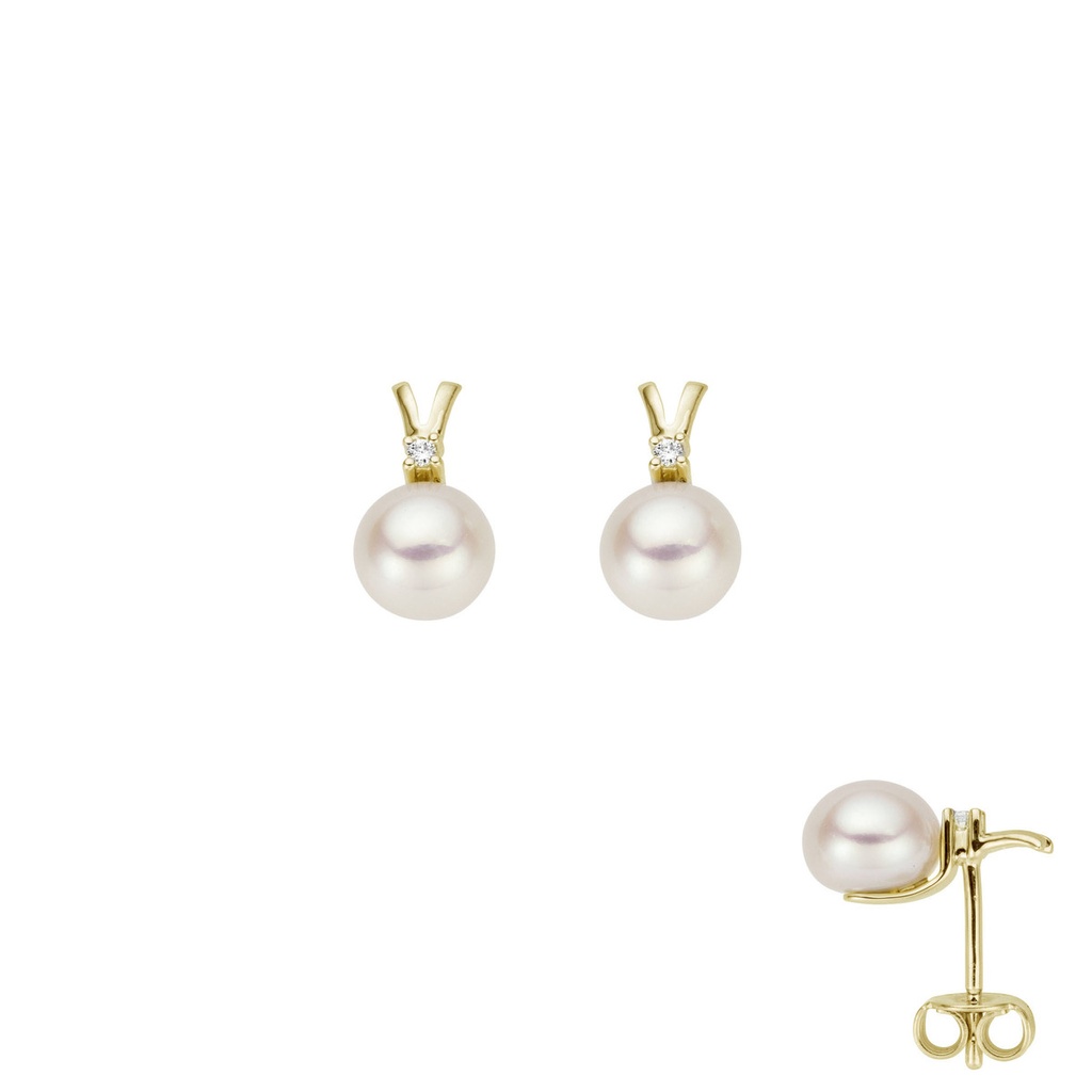 Beheyt Oorbellen 068216PA