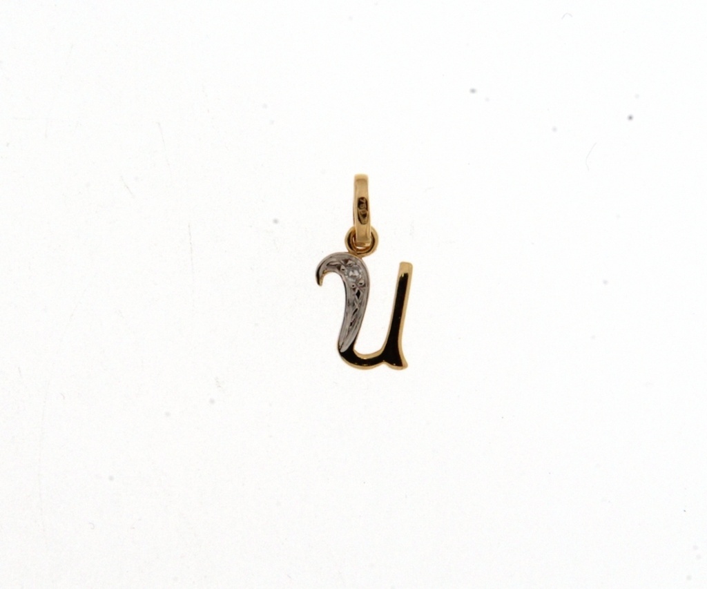 Beheyt Hanger 18 kt Bicolor goud - 021793AU
