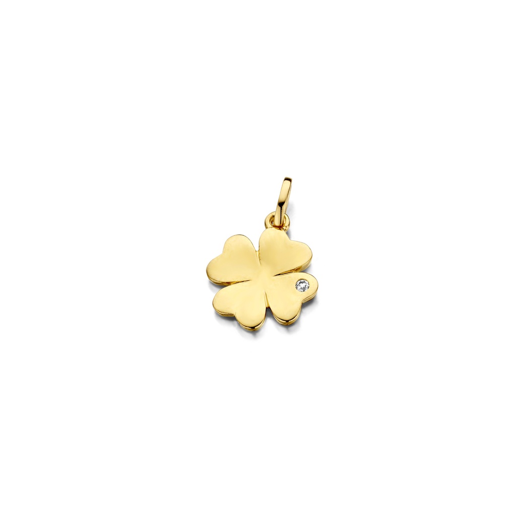 Beheyt Hanger 18 kt Geelgoud Diamant 0,01 ct - 057841A