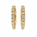 Flanders Oorbellen 243 0,40 GH SI3 Yellow